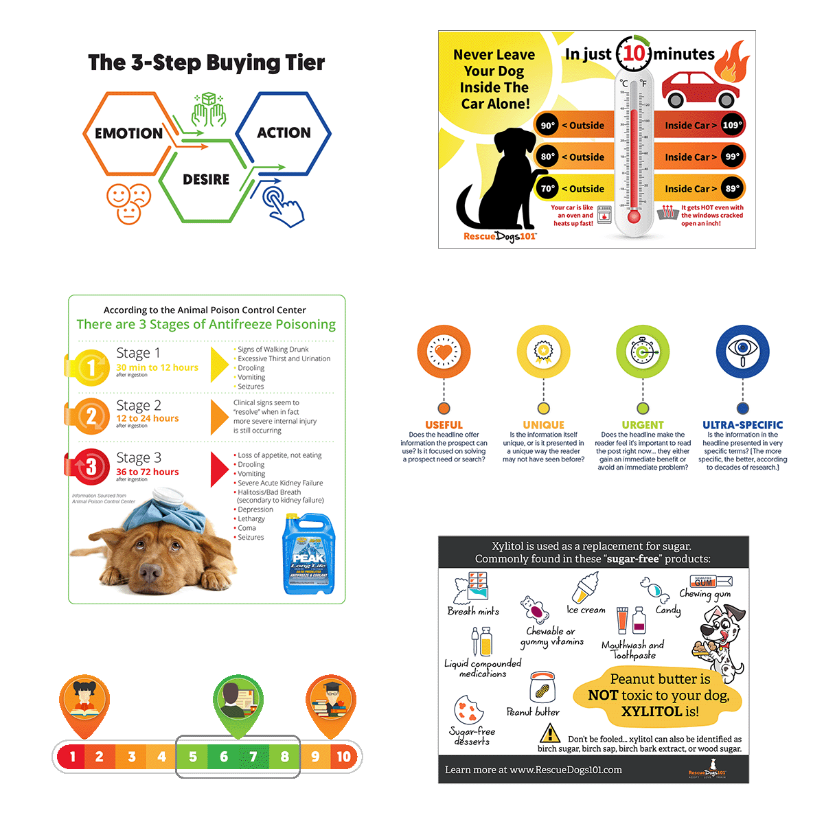 infographic examples use clean graphics and bright colors.